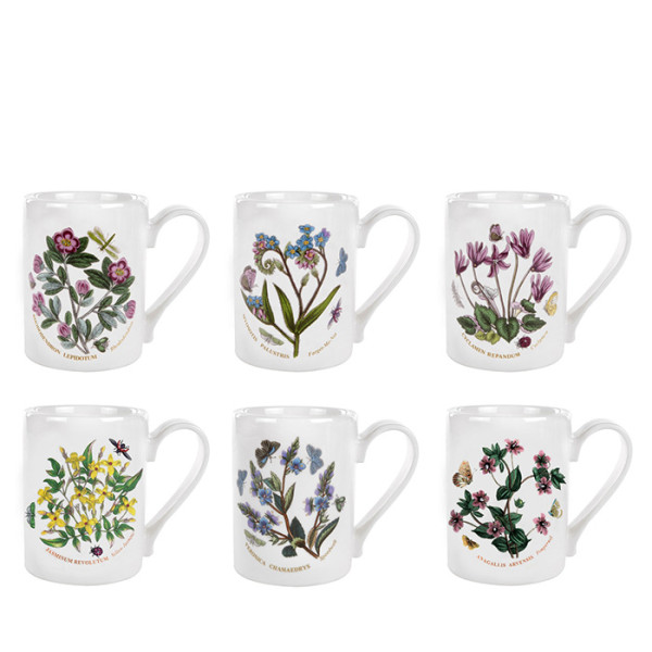 Botanic Garden Coffee Mugs Set of 6